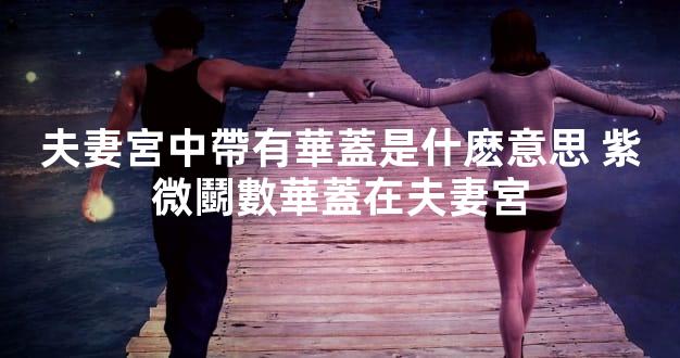 夫妻宮中帶有華蓋是什麽意思 紫微鬭數華蓋在夫妻宮